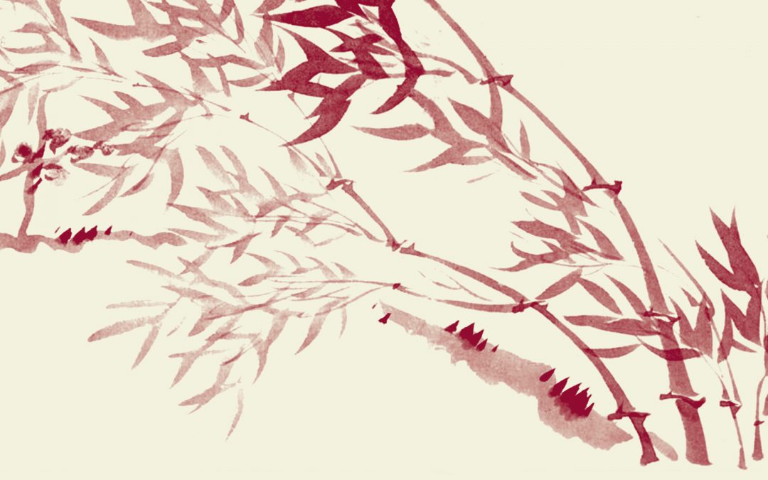 Parler à l&rsquo;hôpital : présentation de l&rsquo;ouvrage à la BU Saint-Germain le 9 février