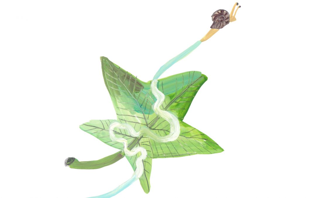 Mayotte’s seismo-volcanic “crisis” in news accounts (2018–2021)