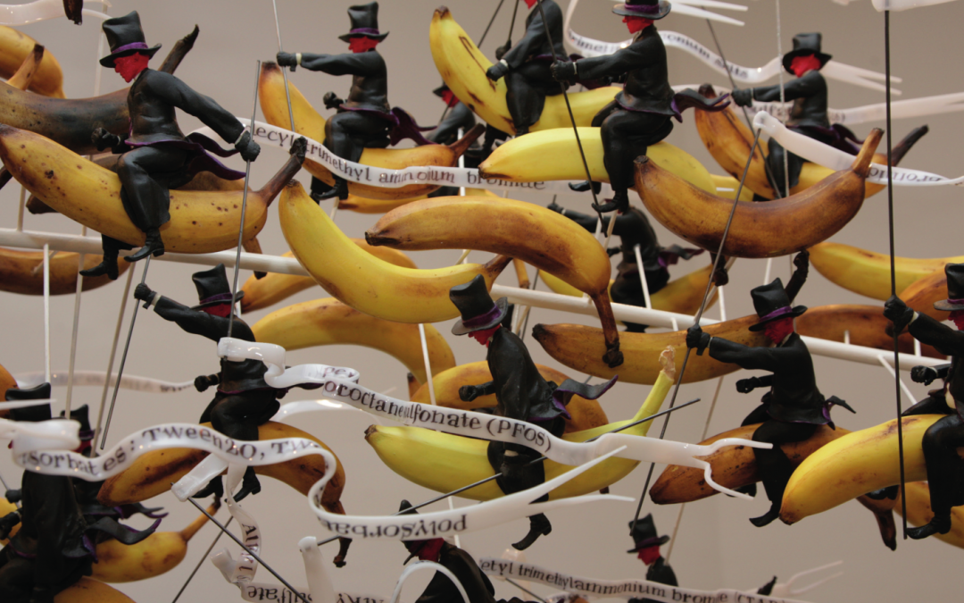 Colloque « Le Manifeste s&rsquo;éclate »