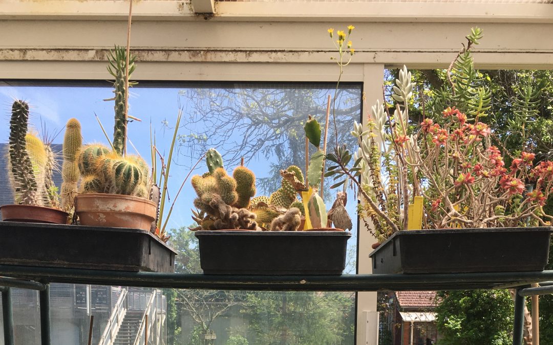 Atelier « La littérature pour quoi faire »