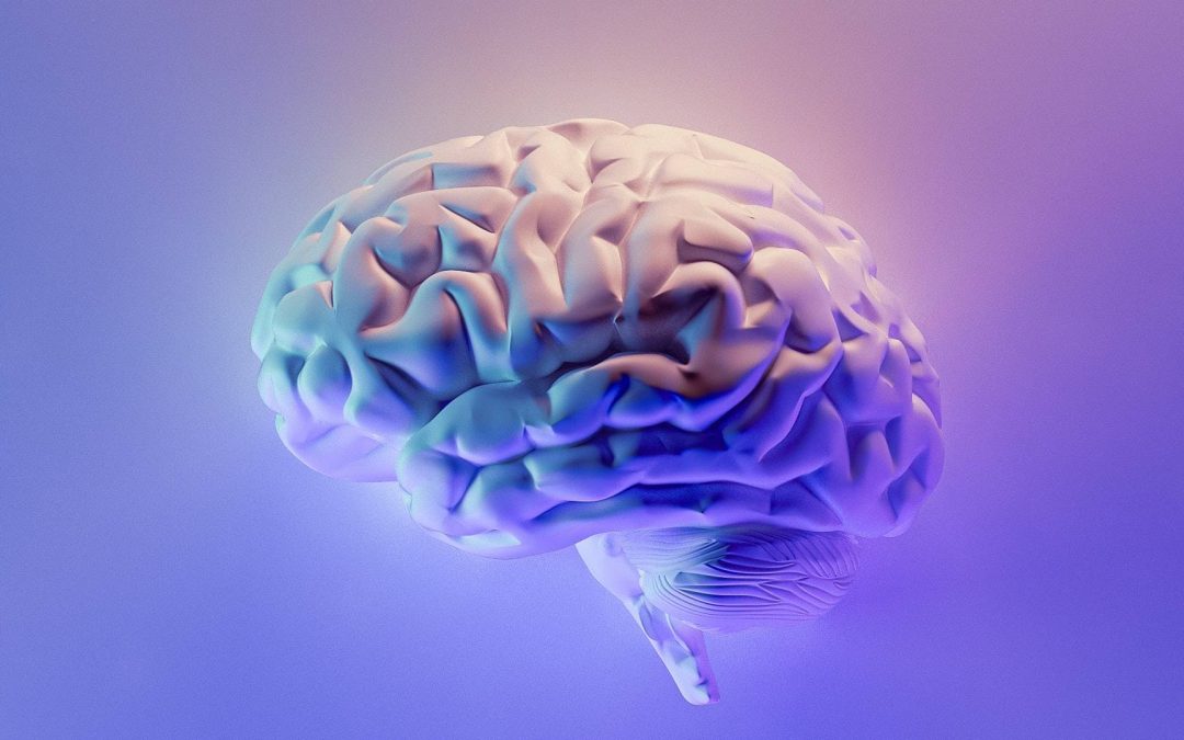 Job opportunities at the Paris Brain Institute