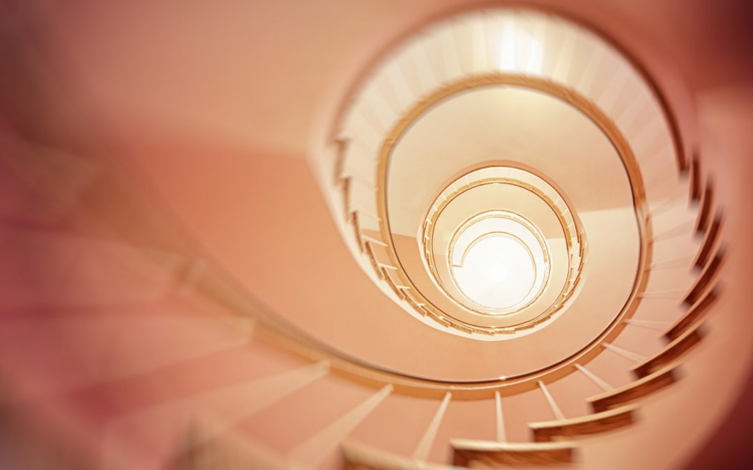 Representing the World : From the Age of Enlightenment to Marshall Hodgson. A Tribute to Robert Mankin (1952-2017)