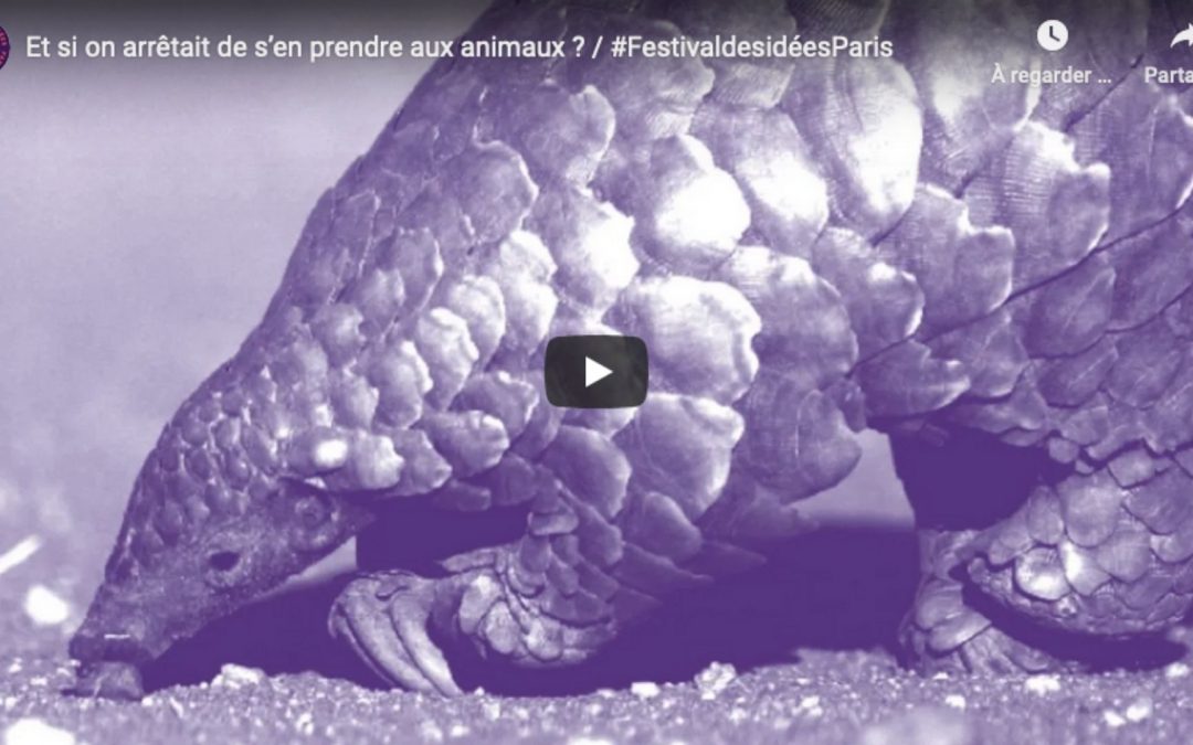 Et si on arrêtait de s&rsquo;en prendre aux animaux ?
