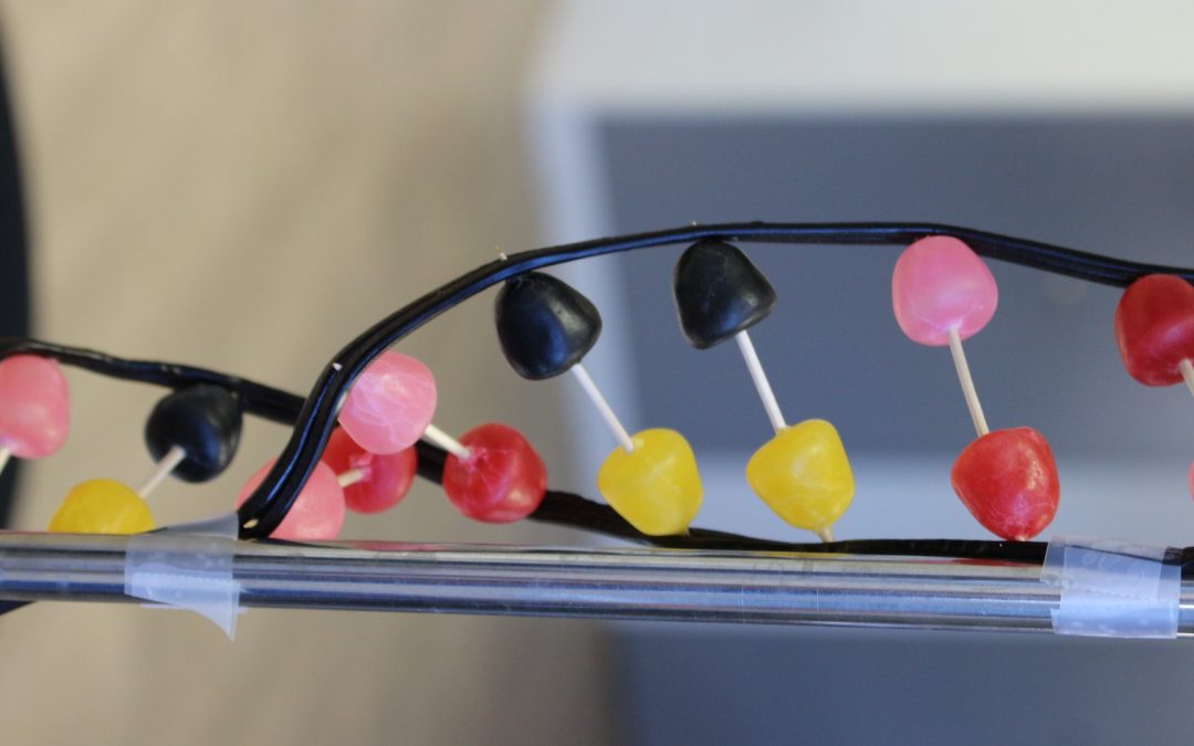 [Atelier-Rencontre chercheurs] L’ADN, comment ça marche ?