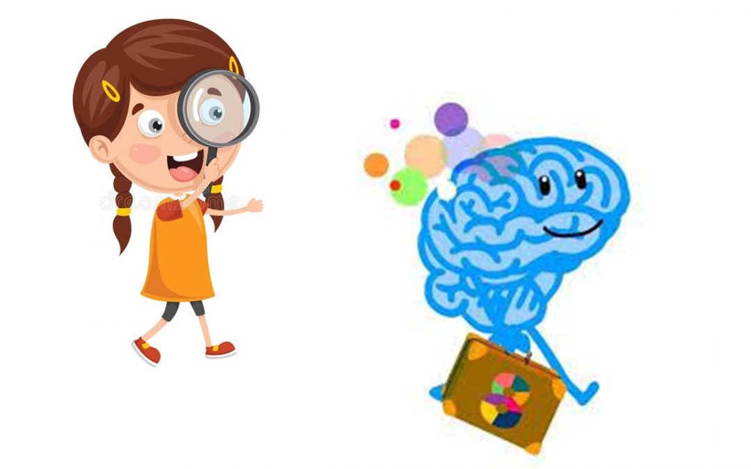 [Intervention scolaire] À la découverte des secrets du cerveau humain