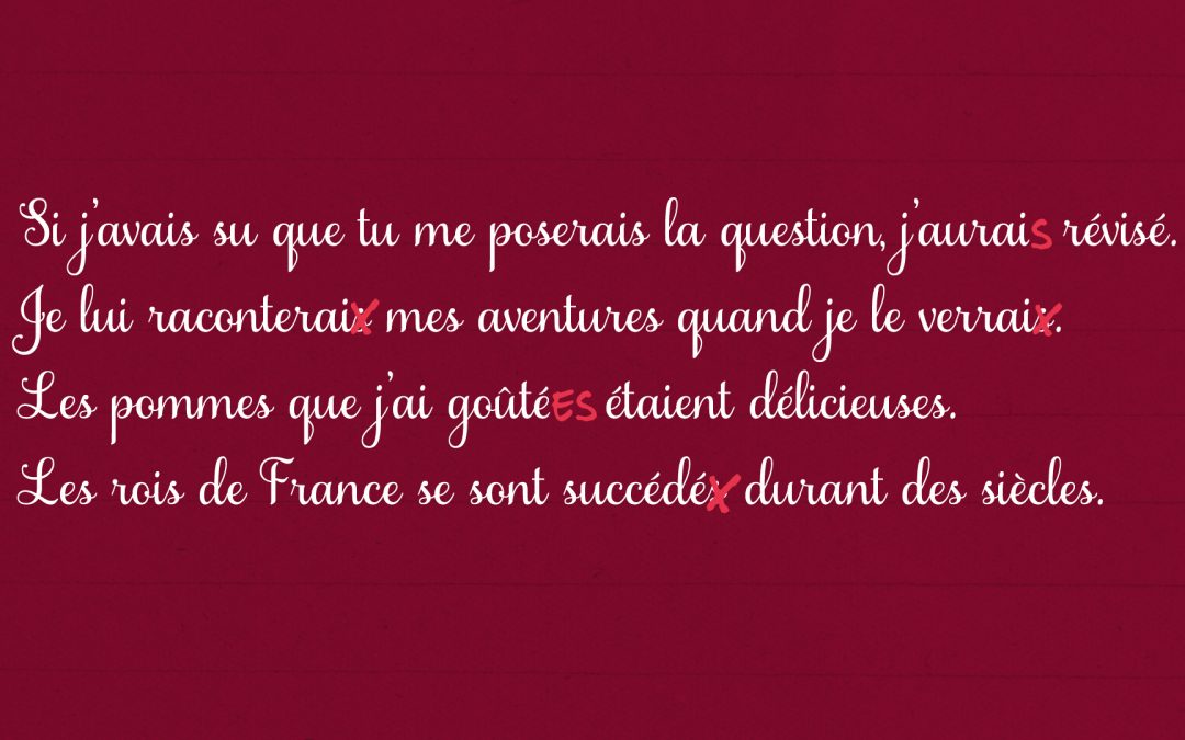 [Intervention scolaire] Questions de grammaire