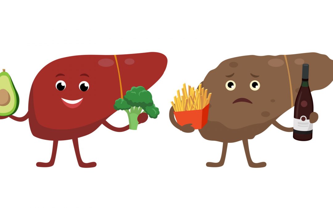 [Atelier/Visite] Le foie n’aime pas le gras !