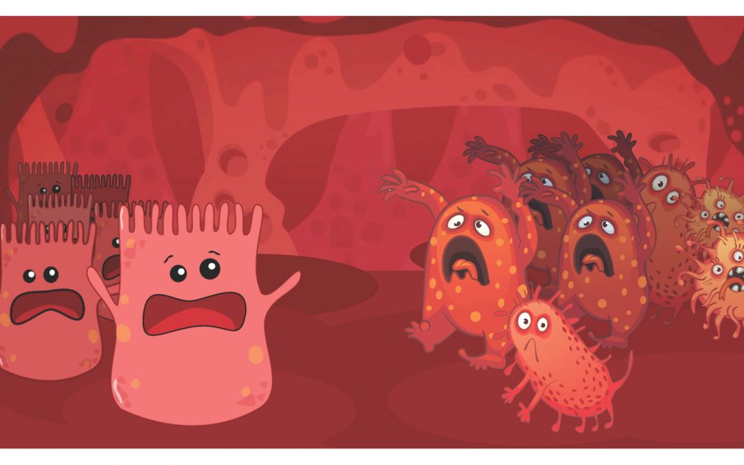 [Ateliers] Enquête au labo : les cellules en folie