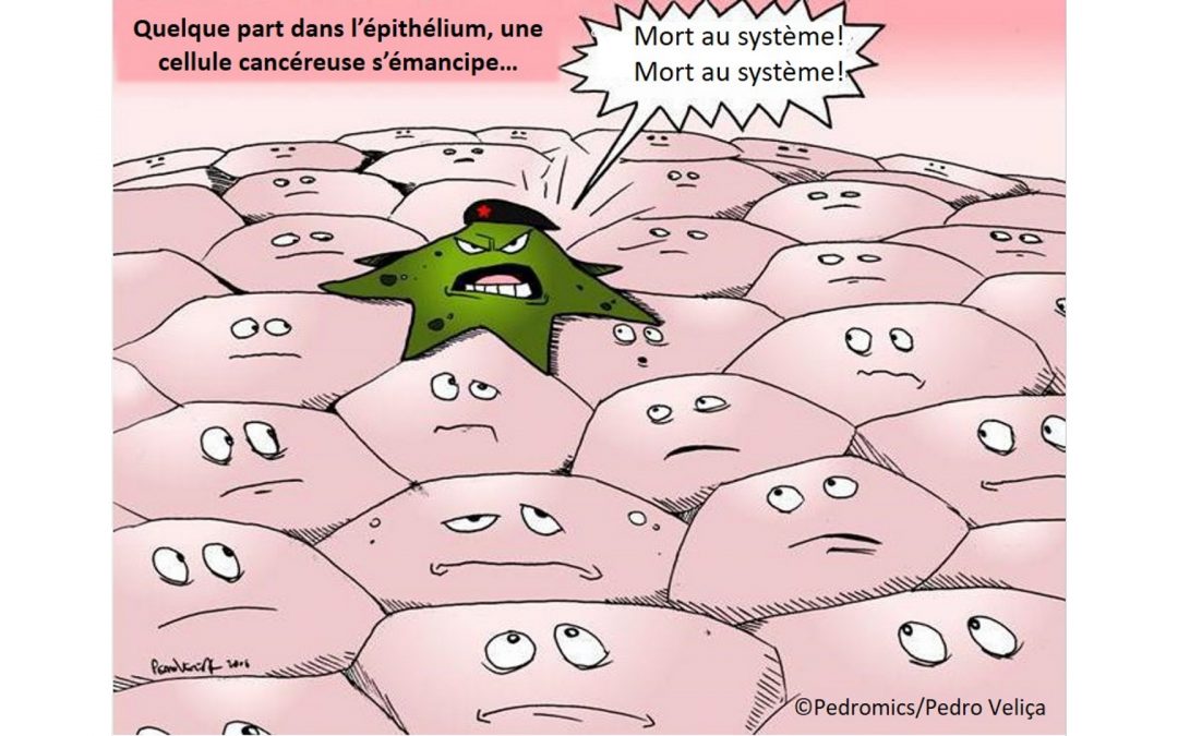 [Escape game] Attrape-moi si tu peux : la course folle du système immunitaire contre le cancer