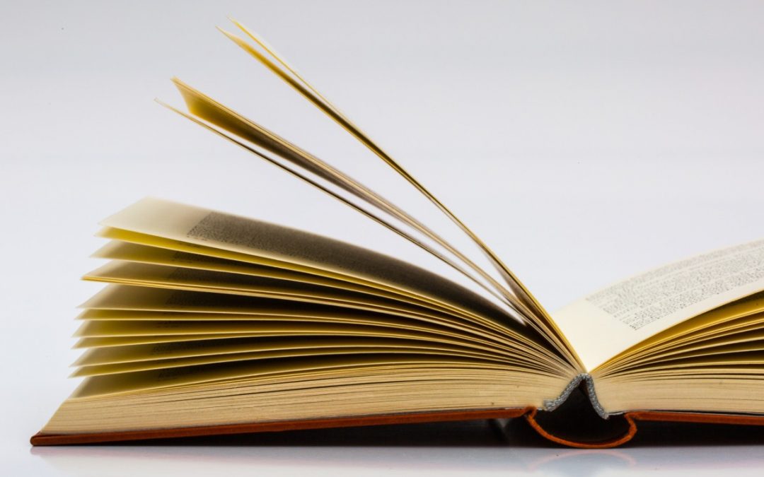 Présentation de l’œuvre de Marie Gibert-Flutre : Les envers de la métropolisation. Les ruelles de Hồ Chí Minh Ville (Vietnam)