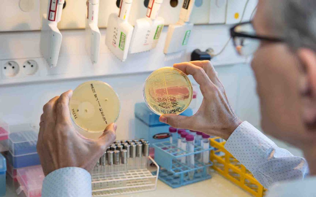 FHU : la Faculté de Santé d&rsquo;Université Paris Cité remporte plus de la moitié des projets labellisés