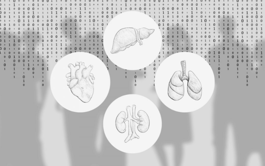 La Faculté de Santé crée l&rsquo;Institut Hors Murs Paris Institute for Transplantation & Organ Regeneration