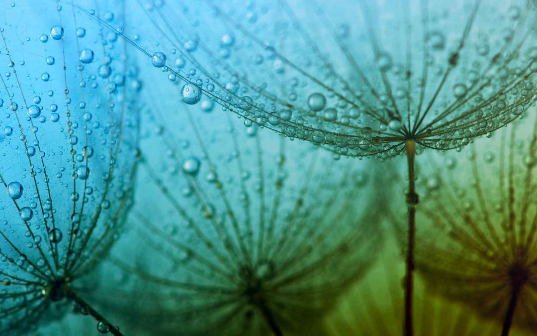 Journées Scientifiques de l&rsquo;Environnement 2023