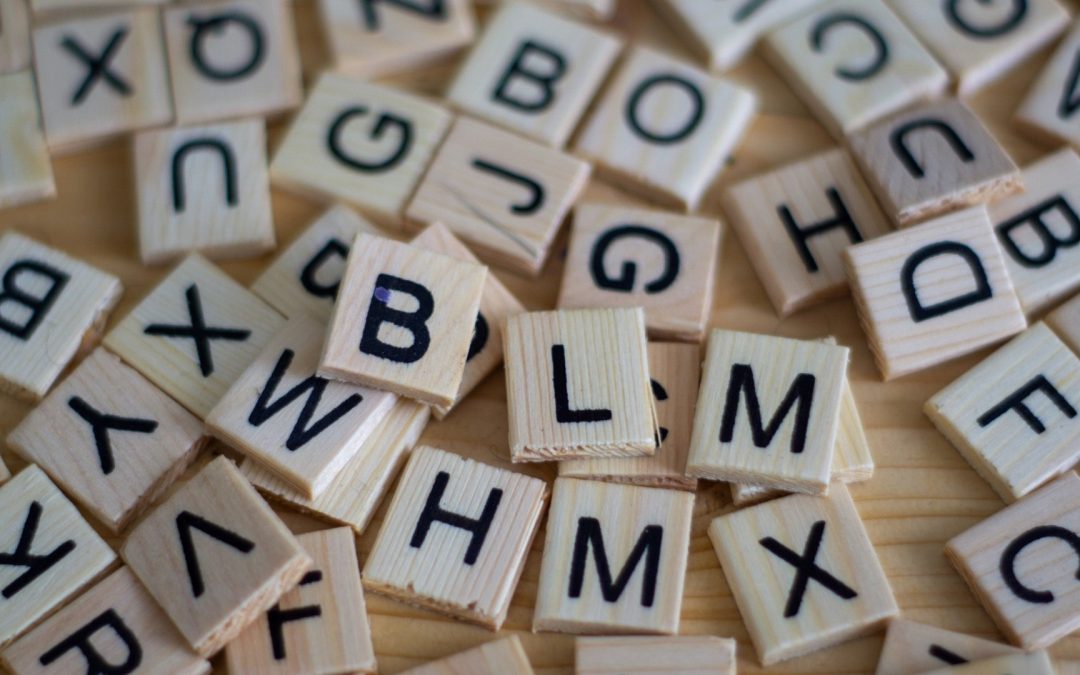 Maxence : « Comment les mots sont-ils nés ? Je veux dire table, chaise, baignoire, comment sont-ils venus ? »