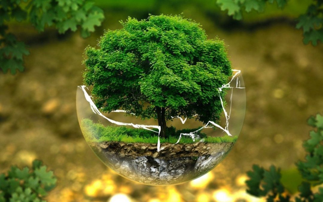 Transition écologique à l’université, votre avis compte !