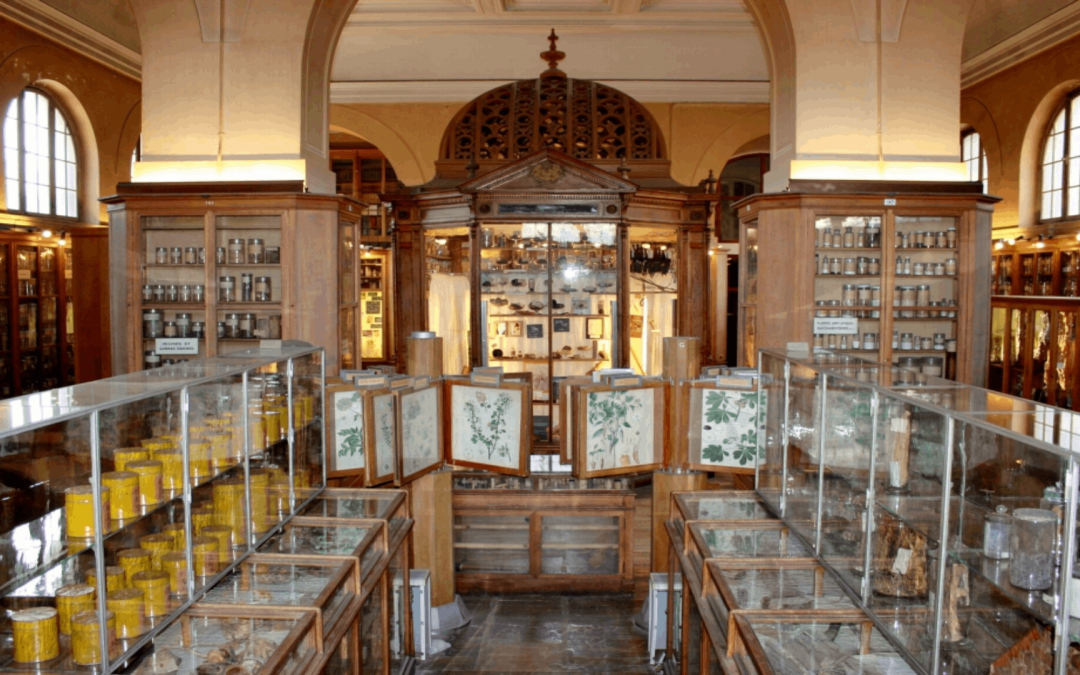 Activités et sorties de fin d&rsquo;année