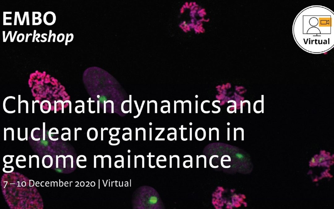 EMBO Workshop 2020