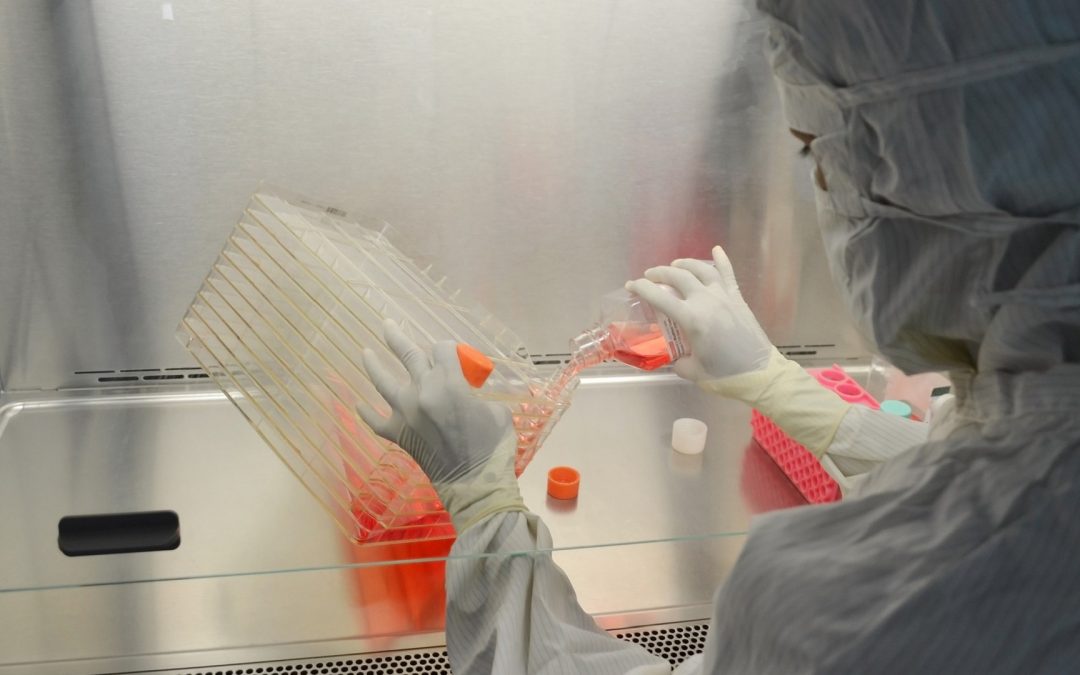 Appel d&rsquo;offre Transition 2020