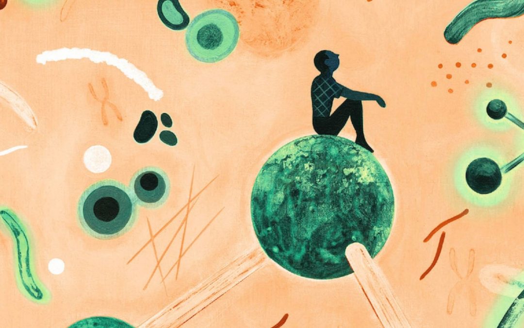 Publication of L’identité. Dictionnaire encyclopédique