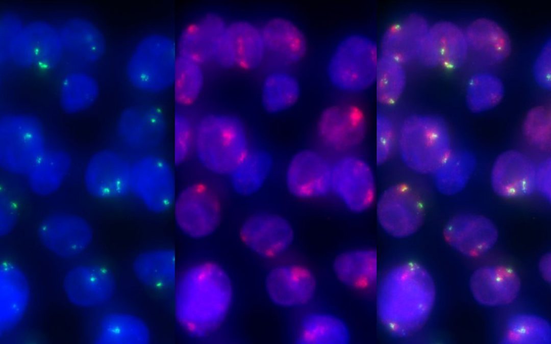 Professor Rob Kulathinal visit