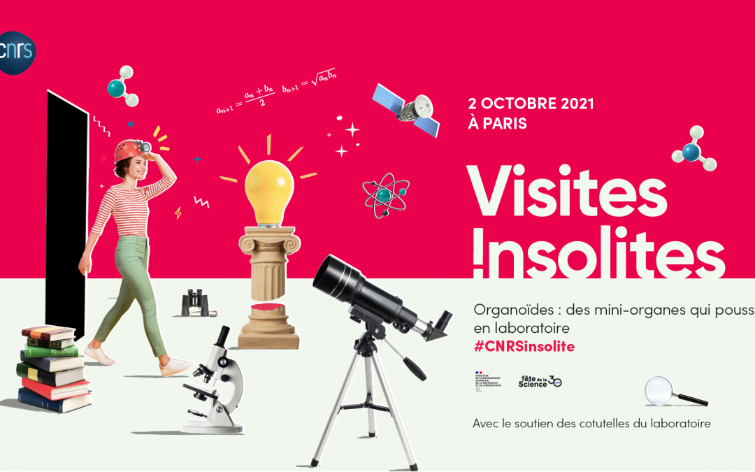 Labex Who Am I? “Visite Insolite”