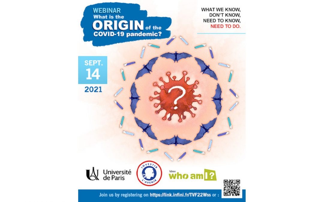 What is the origin of the COVID-19 pandemic?