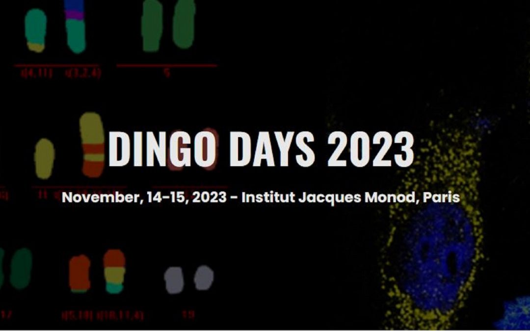 DINGO Days 2023 : Dynamique de l&rsquo;instabilité génétique et oncogenèse