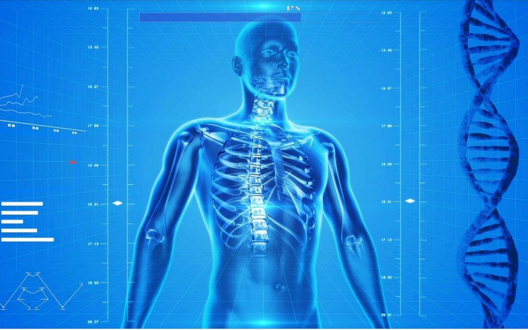 iBox, premier outil de prédiction des risques de perte d&rsquo;un rein greffé