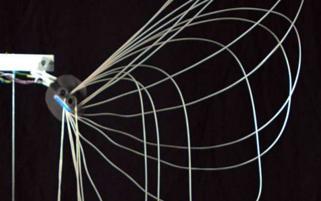 Étudier, expérimenter, publier