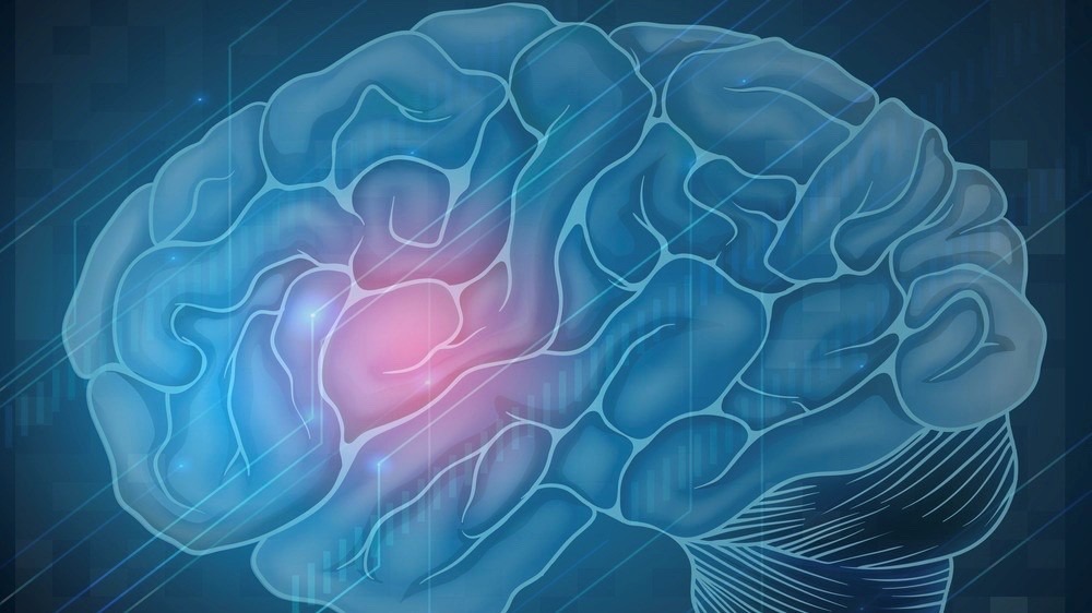 La première classification moléculaire des tumeurs hypophysaires ouvre de multiples champs de recherche et de médecine personnalisée