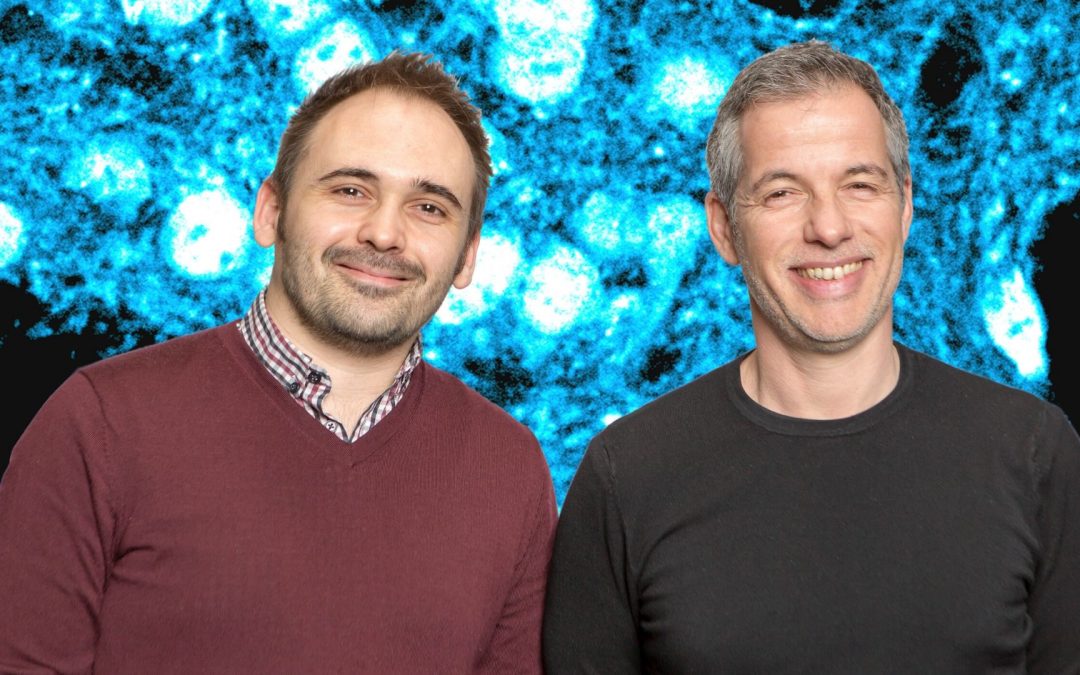 Les aliments gras communiquent avec le cerveau