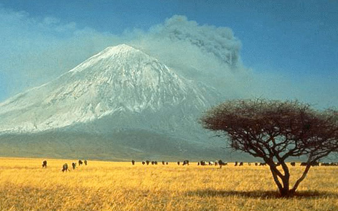 La subduction des carbonates marins à l&rsquo;origine du magmatisme carbonatitique depuis plus de 3 milliards d’années