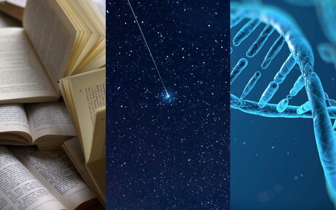 Université Ouverte : découvrez le programme 2020-2021