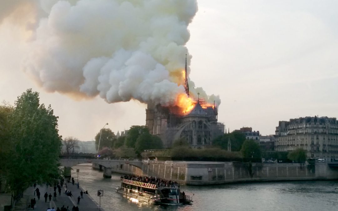 Les retombées de plomb liées à l’incendie de Notre-Dame cartographiées dans le miel