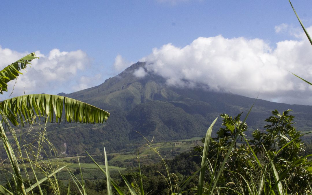 L’OVSM-IPGP préconise le passage en niveau de vigilance volcanique jaune de la Montagne Pelée