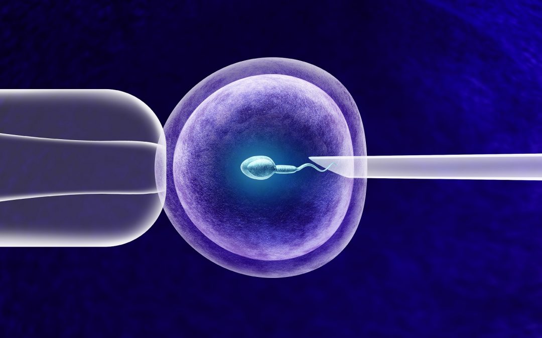 Une étude nationale montre le rôle et l’impact de l&rsquo;endométriose et des techniques de procréation assistée sur les morbidités mère-enfant
