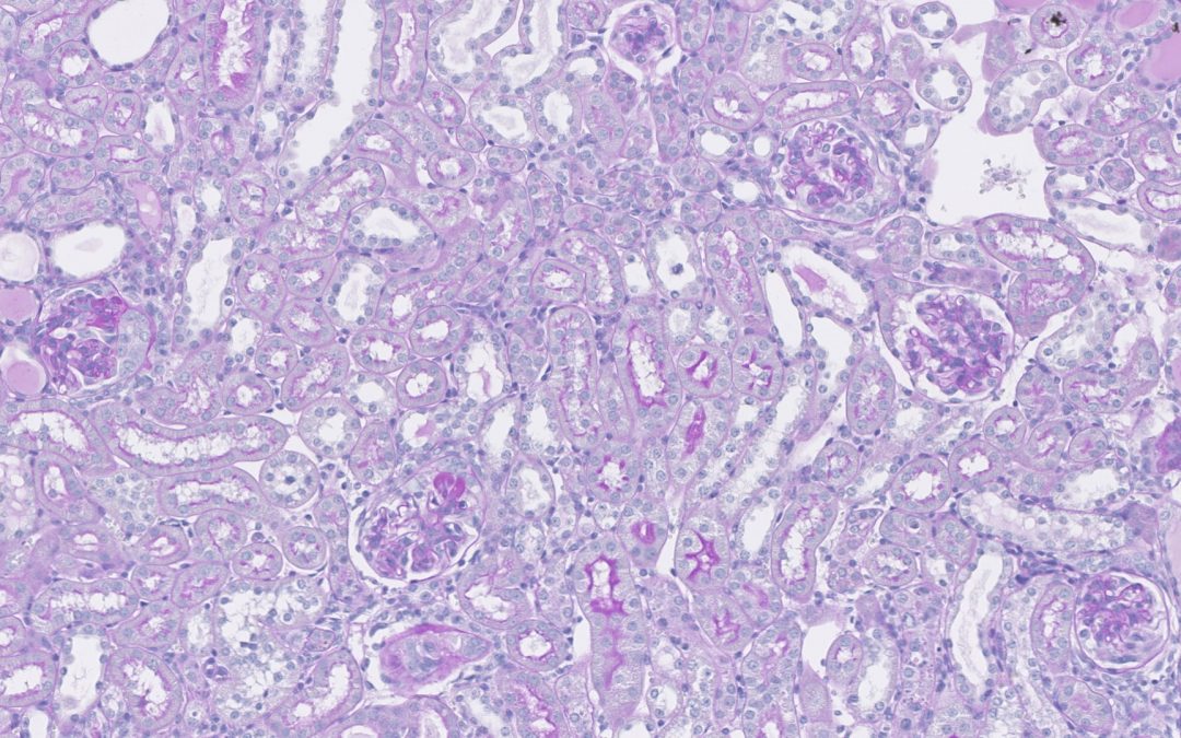 Le PARCC : lauréat de l&rsquo;appel à projets SESAME