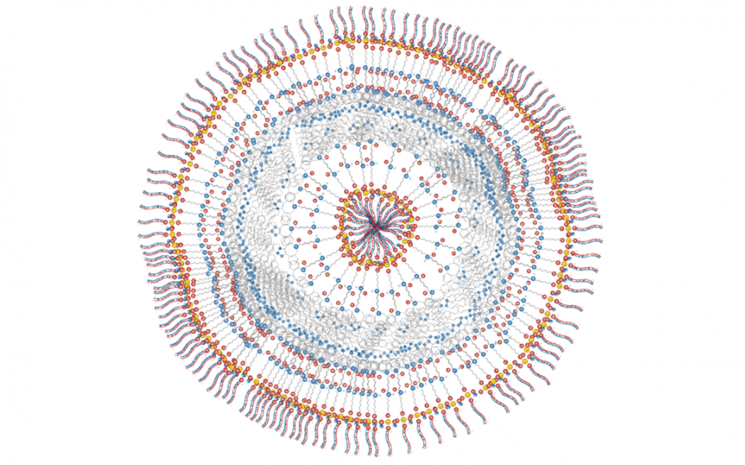 Maladie de Charcot-Marie Tooth : une innovation thérapeutique 100 % française à base d’ARN
