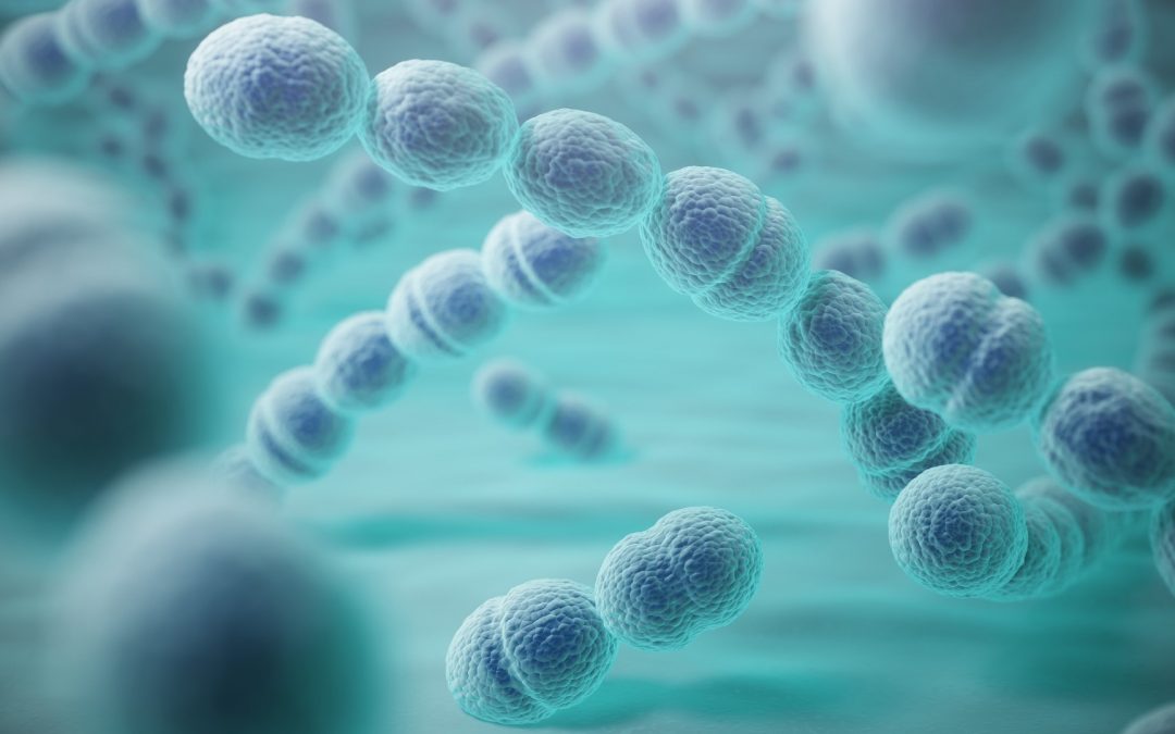 La Faculté de Santé crée l&rsquo;Institut Microb’UP