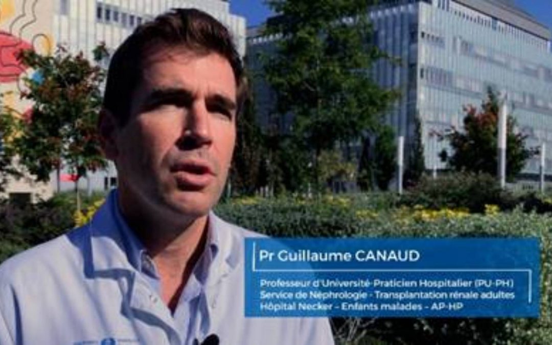 Mutation du gène PIK3CA : nouvelles perspectives thérapeutiques