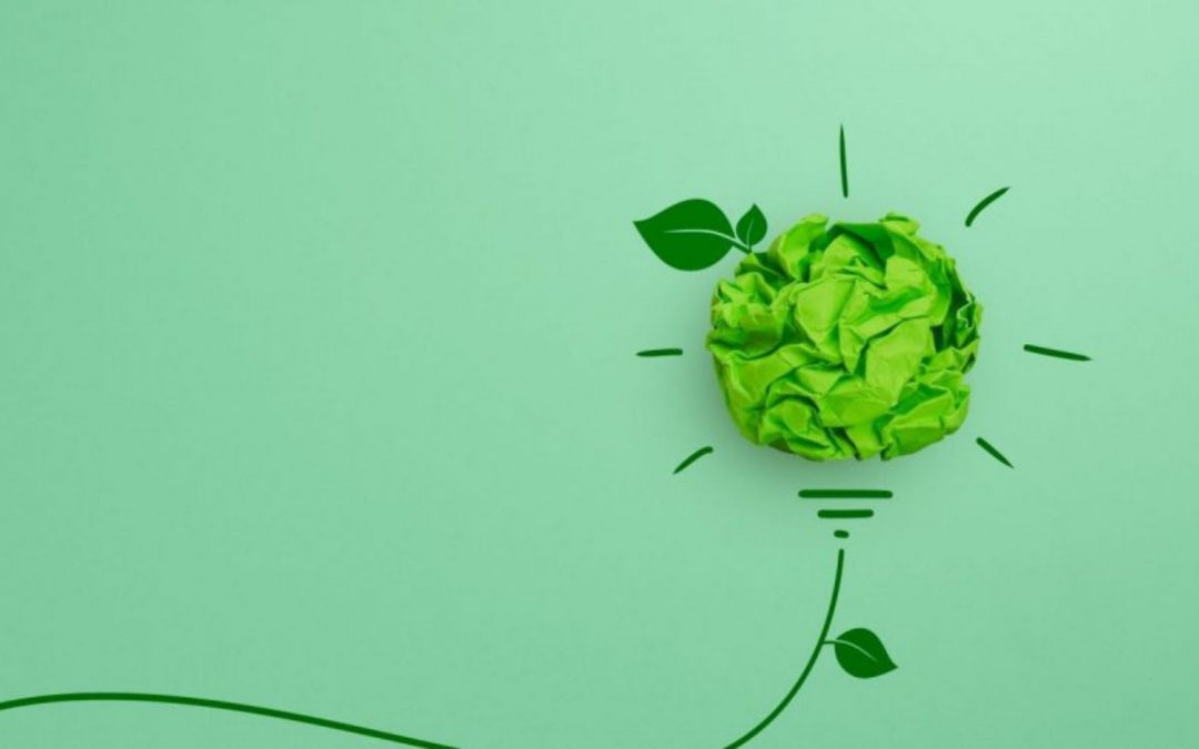 Deux UE libres pour être au fait des enjeux sociétaux