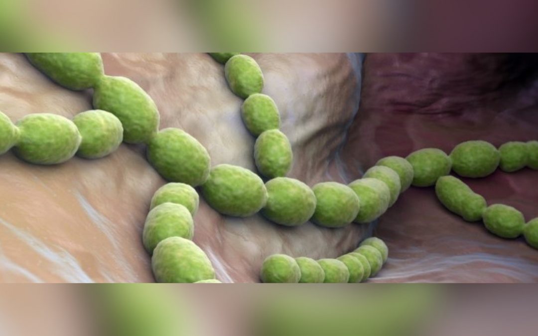 Vers des traitements plus adaptés pour les patients immunodéprimés