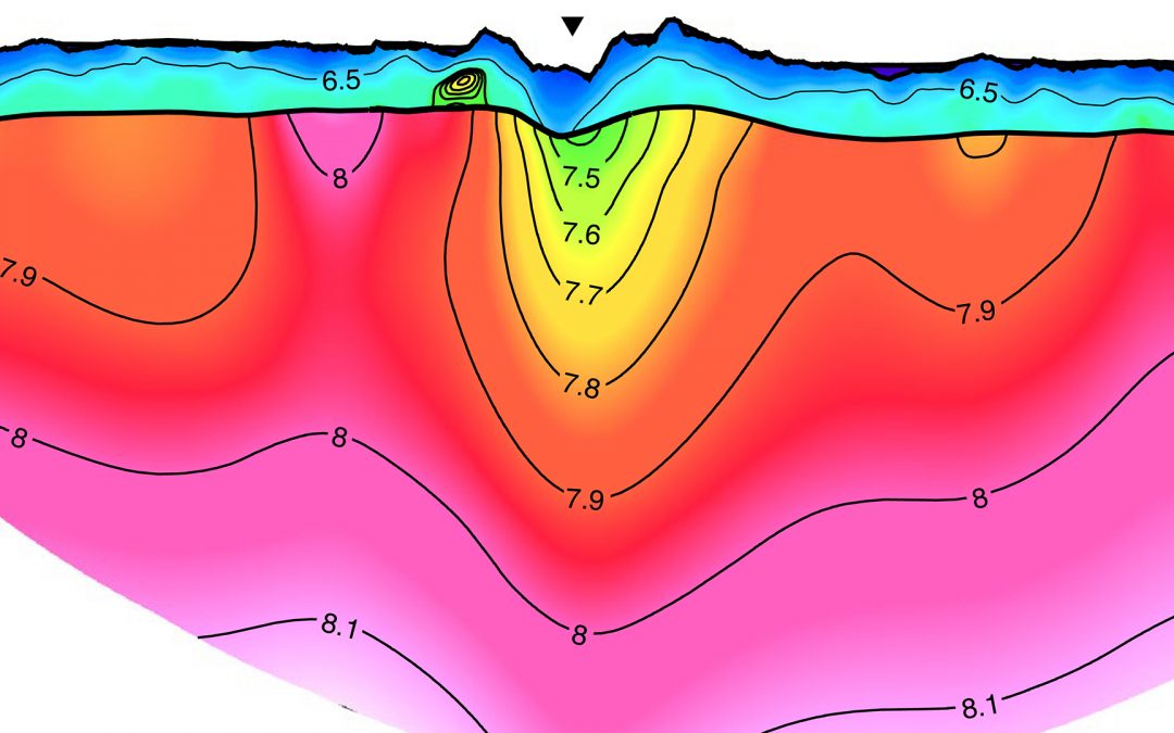 Imagerie des structures profondes sous les failles transformantes