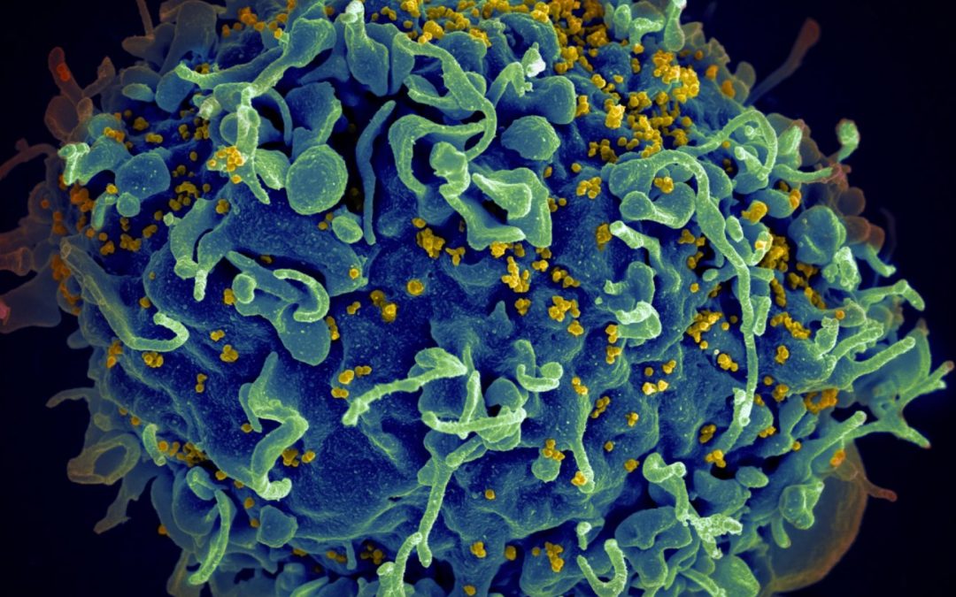 Création d’une Graduate School dédiée aux maladies infectieuses émergentes